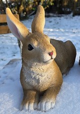 Großer Hase Rabbit Braun