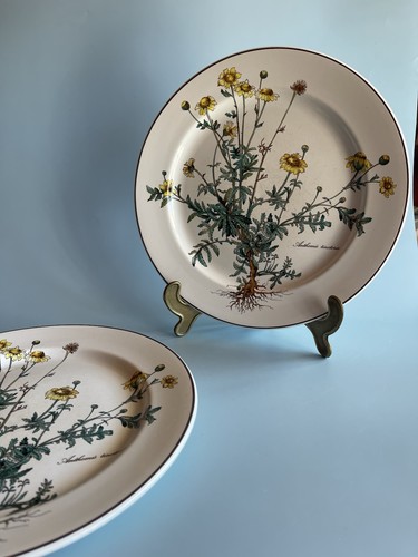 Villeroy boch botanica - villeroy, &