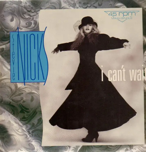 Stevie nicks cant - stevie,