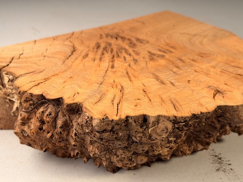 Live edge burr ulme - live,