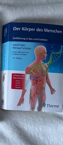 Der körper des menschen - der,