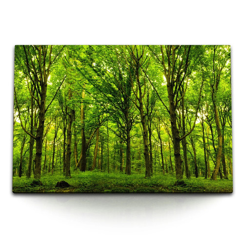 120x80cm wandbild auf leinwand - wandbild,