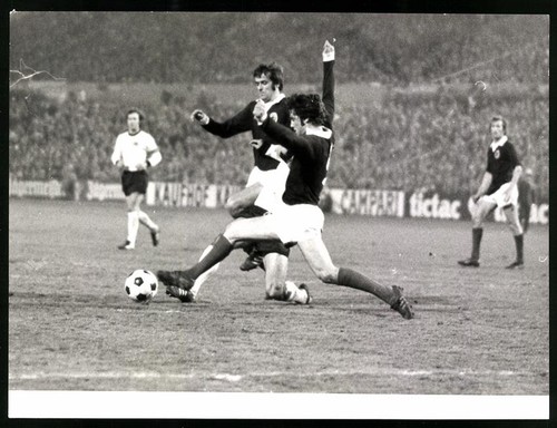 Fotografie fussball - fotografie,