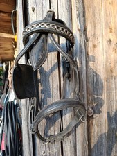Leder Fahrzaum mit Scheuklappen Shetty