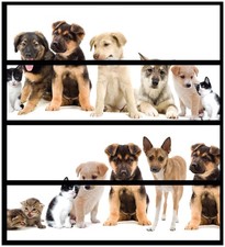 Wallario Aufkleber Möbelfolie