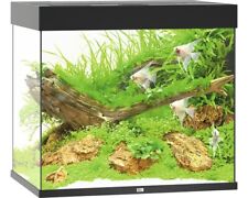 Aquarium JUWEL Lido 200 mit LED-Beleuchtung, Pumpe, Filter, Heizer ohne Untersch