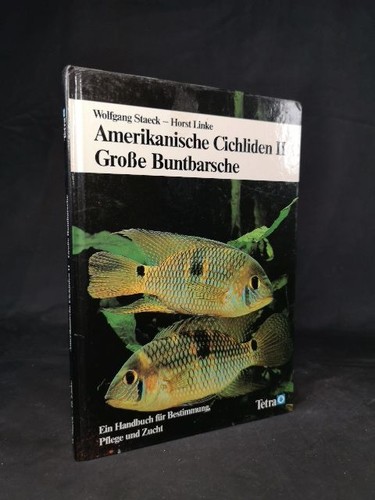 Amerikanische cichliden - amerikanische,