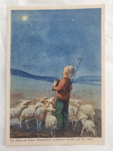 Schweizer schäferhundjunge - schweizer,