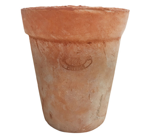 Aged terracotta blumen - terracotta, topf