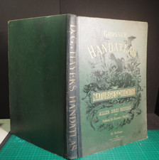 Prof. v. Hayek - Grosser