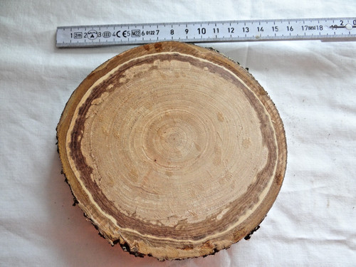 Baumscheiben aprikosen holz - baumscheiben,