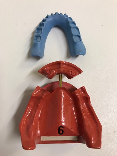 Dental dent schaumodell - go,