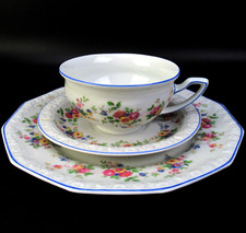 Rosenthal Porzellan Teegedeck Serie Maria Dekor Bunte Ranke Alte Version