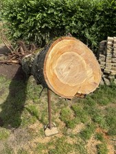 Kirsche Holz Kirschholz Stamm 2,5m lang