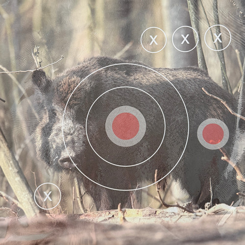 Target sports zielscheibe - target, 30