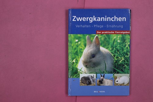 281196 zwergkaninchen - 281196,