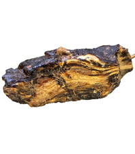 Zebra Bernstein Rohbernstein