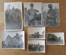 7 alte Fotos deutsche Soldaten