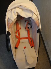 Cybex Sport Avi  mit Garantie