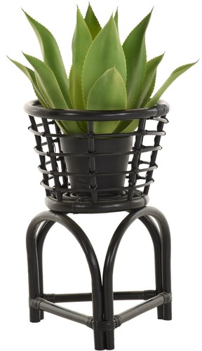 Rattan