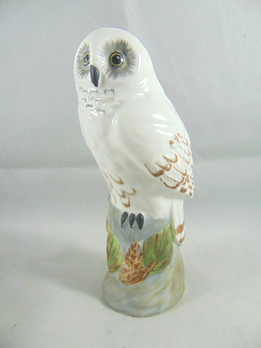Crown staffordshire snowy owl - staffordshire,