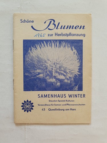Schöne blumen zur - blumen,