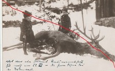 Foto Ak  Wölfelsgrund