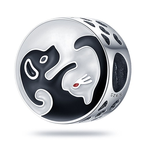 Ying yang dog - ying, kitten