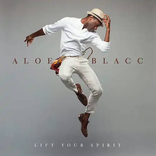 Aloe blacc lift - aloe, spirit