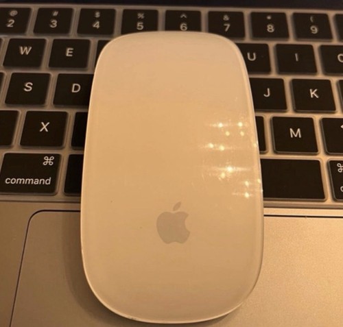 Apple magic mouse - mouse,
