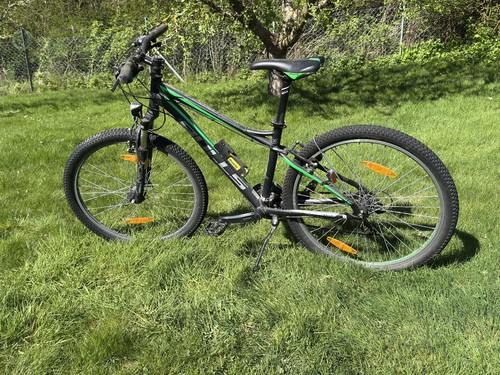 Bulls sharptail street - sharptail,