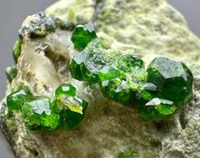 216 Gramm voll terminierte