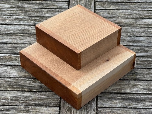 Ulme 10x10x5cm 1st holz - ulme,