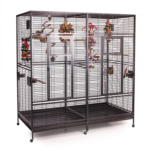 Montana cages arkansas - montana,