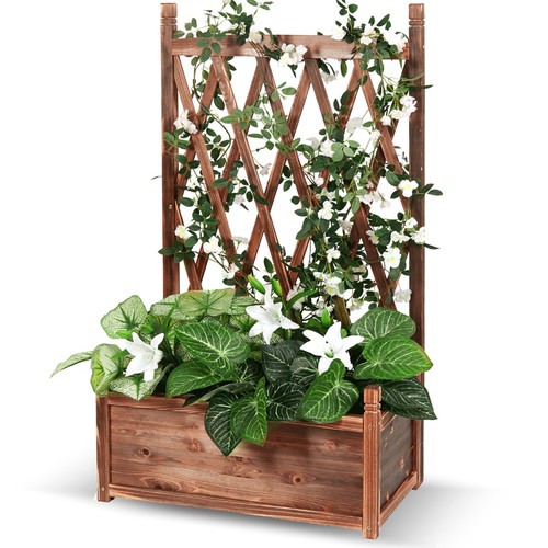 Blumenkasten mit spalier - blumenkasten,