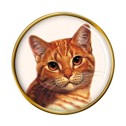 Ginger shorthair katze revers - ginger,
