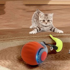 Interaktives Katzen
