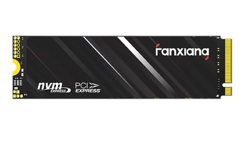 Fanxiang ssd 500gb bis - m.2, 500gb,