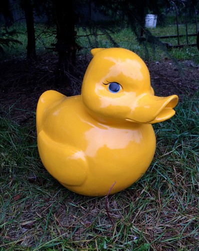 Ente quitscheente - ente,, quitscheente,