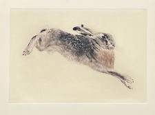 Kurt Meyer-Eberhardt –