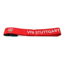 VFB Stuttgart Bundesliga
