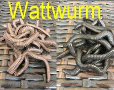 Künstliche Maden Würmer