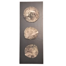 Treibholz Schwemmholz