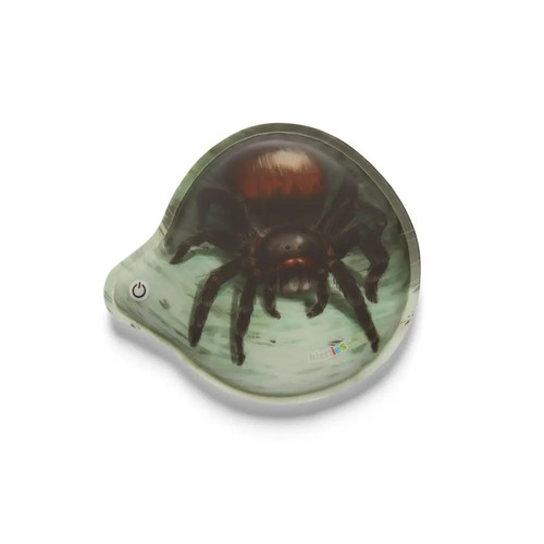 Spinne blinkie klettie - spinne, blinkie-klettie