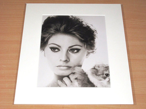 Lumas foto bild sophia loren - bild,