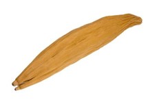 NaDeco Kapok Schote | Nagetier