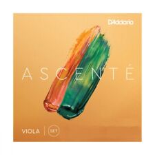 D´Addario Ascenté Bratsche