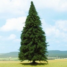 Heki 2341 Tanne, 25 cm hoch G