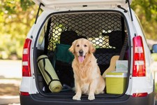 Hundenetz Profi Trenngitter