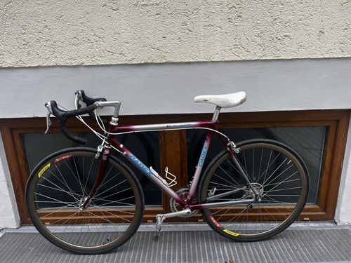 Giant cadex alu rennrad - giant,